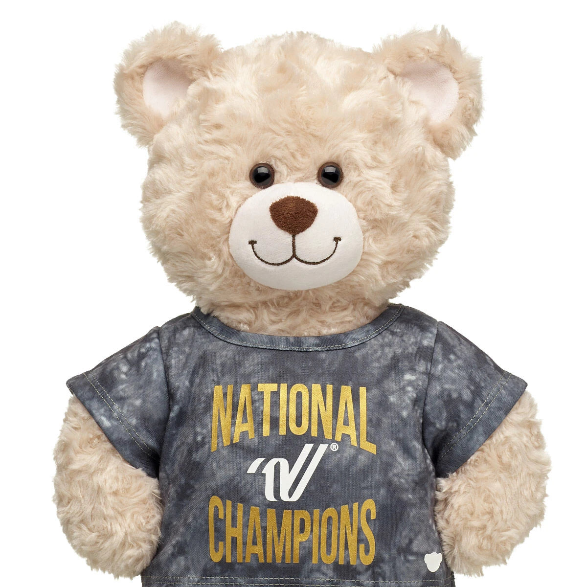 Varsity Spirit National Champions T-Shirt | Build-A-Bear® - US 8082