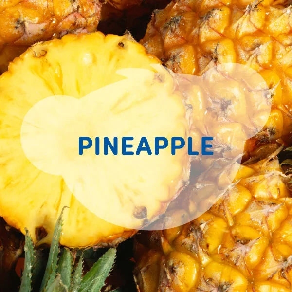 SCENTiments™ Fresh Pineapple Scent for Stuffed Animals | Build-A-Bear® - US 1338
