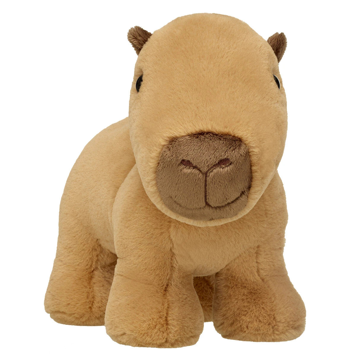 Capybara Stuffed Animal | Build-A-Bear® - US 9003