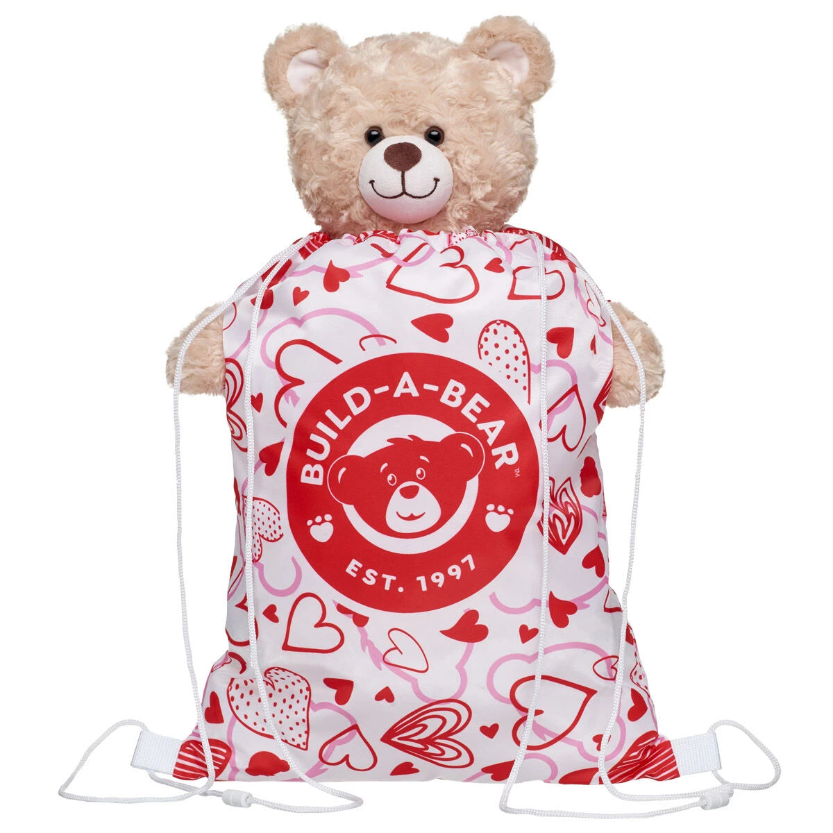 Valentine's Day Toy Bear Carrier | Build-A-Bear - US 2611