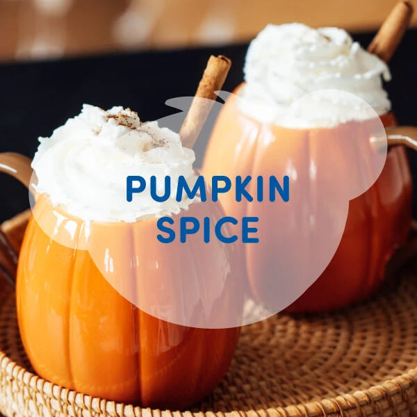 Pumpkin Spice Scent for Stuffed Toys | SCENTiments™ Build-A-Bear® - US 2379