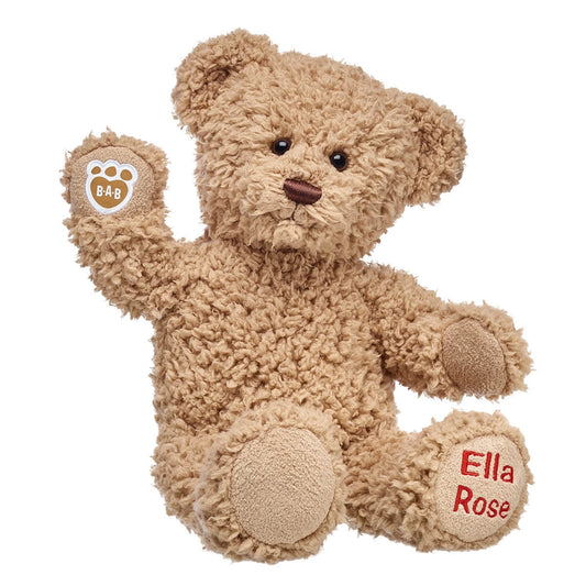 Embroidered Teddy Bear | Online Exclusive Gift | Shop at Build-A-Bear® - US 5343