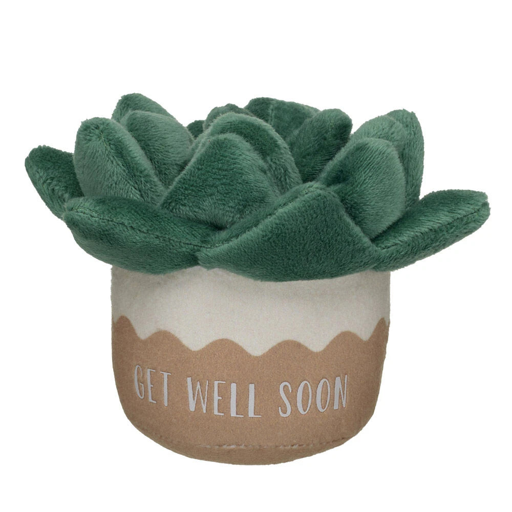 HB GET WELL PLANT - US 7195