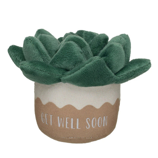 HB GET WELL PLANT - US 8384