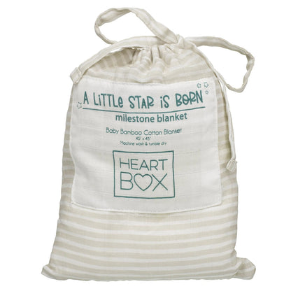 Monthly Milestone Baby Blanket | Build-A-Bear® - US 2841