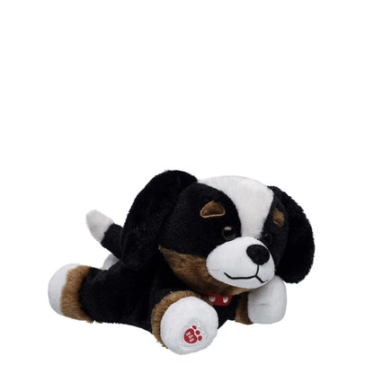 Promise Pets Bernese Mountain Dog Stuffed Animal Mini Beans Gift Set | Build-A-Bear - US 1897