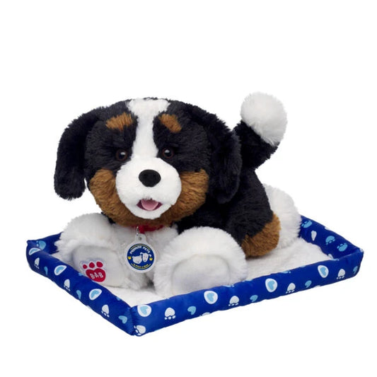 Promise Pets Bernese Mountain Dog Stuffed Animal w/ Blue Bed | Build-A-Bear - US 2285