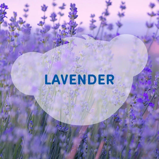 SCENTiments™ Lavender Scent for Stuffed Animals | Build-A-Bear® - US 1383