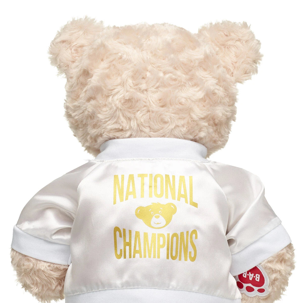 Varsity Spirit National Champions Jacket | Build-A-Bear® - US 9566
