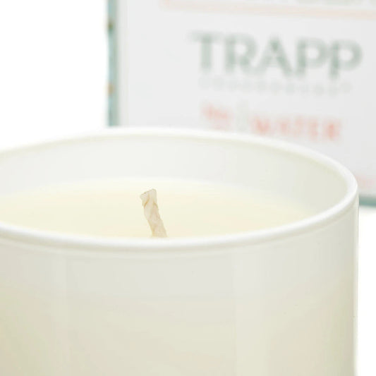 No. 20 Water 3.75 oz. Small Poured Candle | Build-A-Bear® - US 3279
