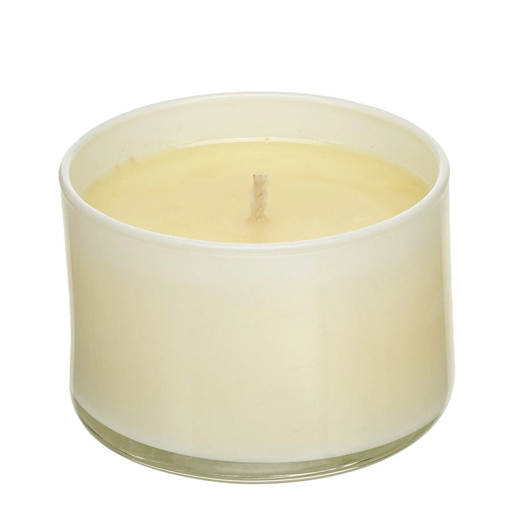 Trapp Signature Home Collection—No. 25 Lavender de Provence Scented Candle | Build-A-Bear® - US 6834