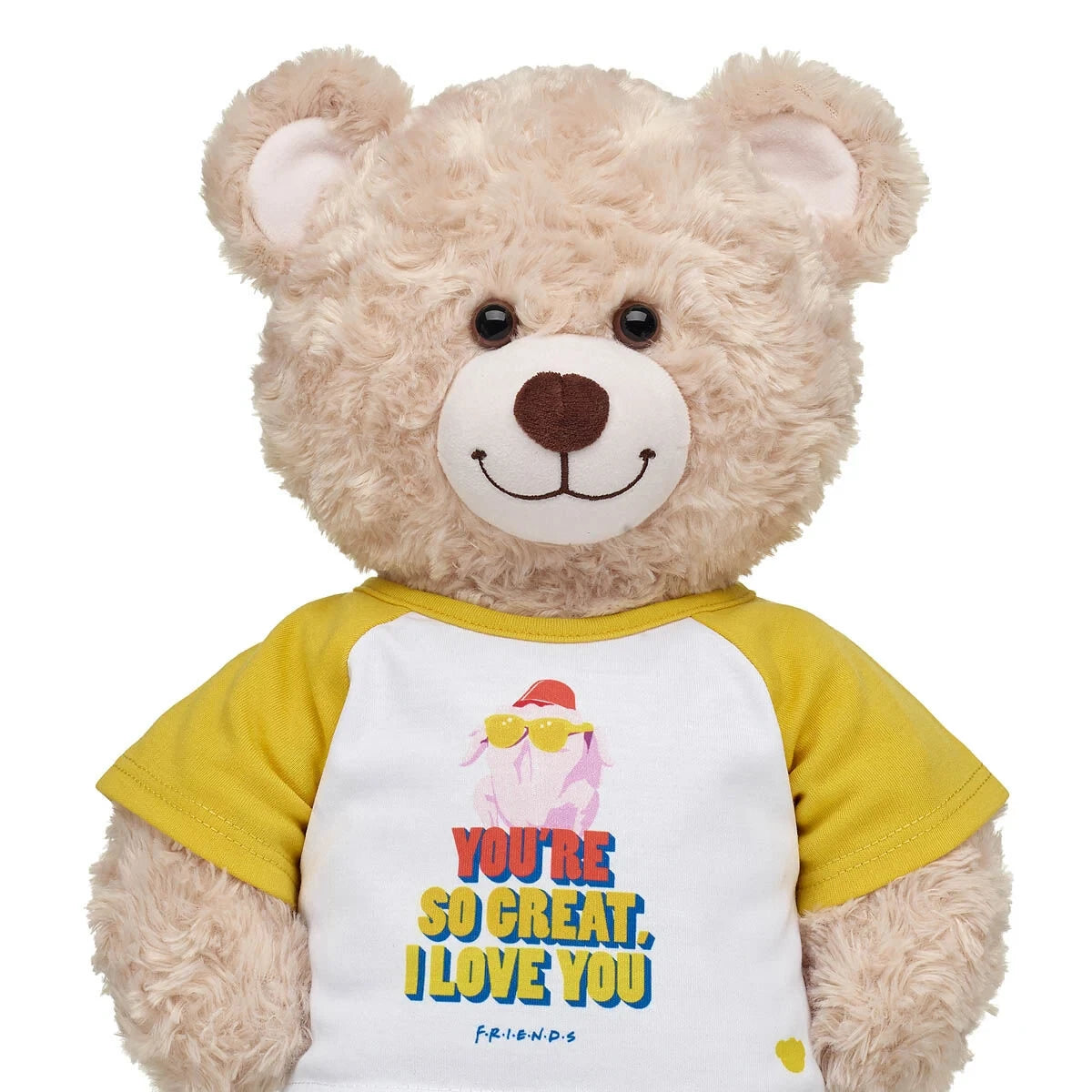 FRIENDS TV Show Turkey T-Shirt for Stuffed Animals | Build-A-Bear® - US 1651