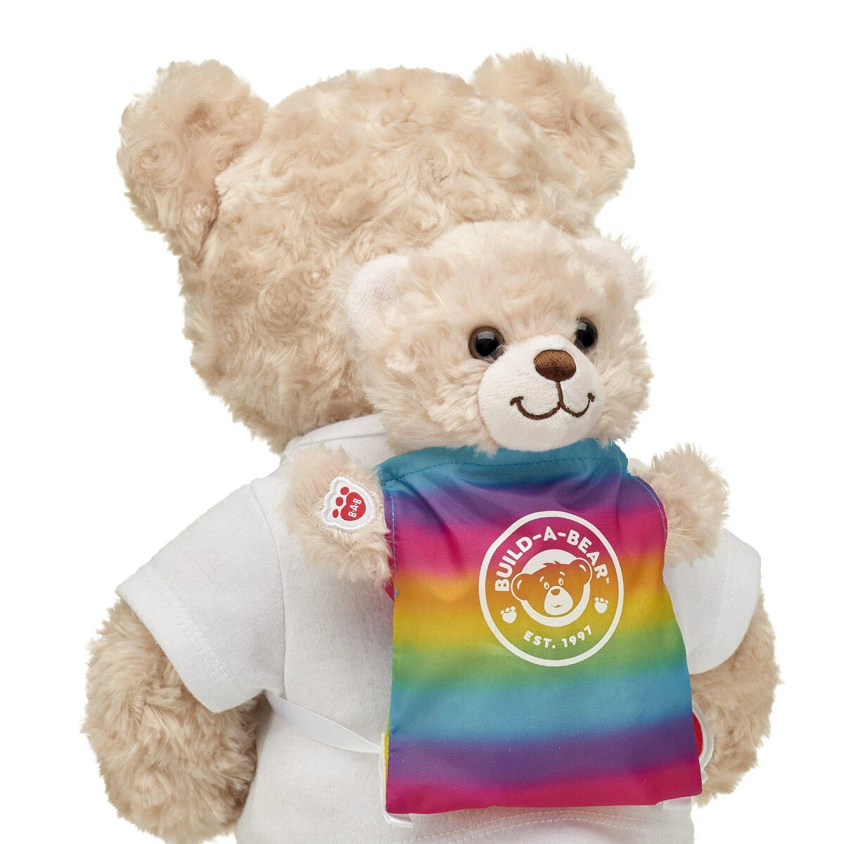 Mini Beans Rainbow Toy Bear Carrier | Build-A-Bear® - US 2966