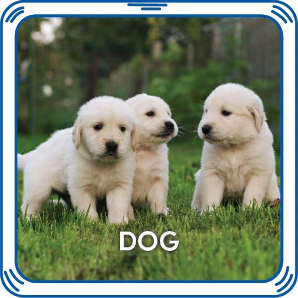 Puppy 5-in-1 Sound for Stuffed Animals | Build-A-Bear® - US 1569