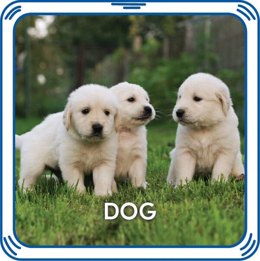 Puppy 5-in-1 Sound for Stuffed Animals | Build-A-Bear® - US 1569
