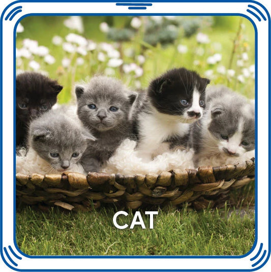 Kitty 5-in-1 Sound for Stuffed Animals | Build-A-Bear® - US 6287