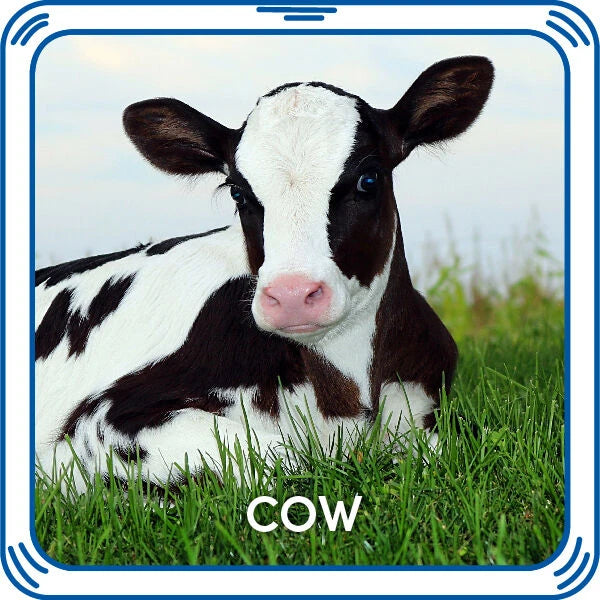 Cow Sound for Stuffed Animals | Build-A-Bear® - US 2991