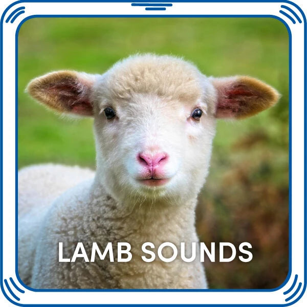 Lamb Sounds for Stuffed Animals | Build-A-Bear® - US 3581